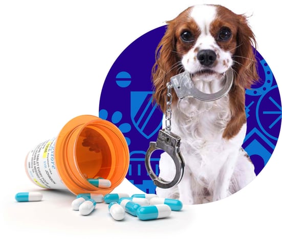 Veterinary Practices Veterinary Practices