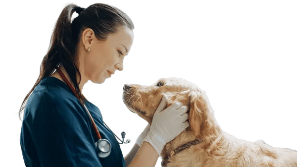 shutterstock_2285054095-iso